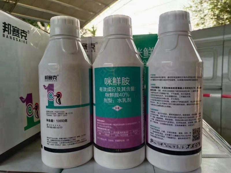 河南郑州中原区咪鲜胺杀菌剂批发指南 高效防治，经济实惠之选